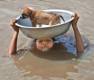 non-anneghi-cadendo-nell-acqua-anneghi-stando-li